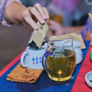 好茶葉不再怕山高路遠水長，上海松江從生產端到銷售端，全鏈條幫助云南茶農