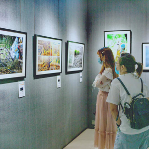 人與環境攝影大賽為生態發展助力