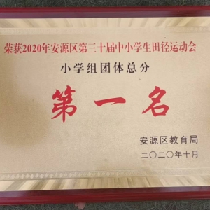 萍鄉(xiāng)市城區(qū)小學(xué)體育再傳捷報