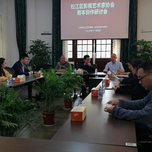 松江區(qū)影視藝術(shù)家協(xié)會劇本創(chuàng)作研討會在叁零文化創(chuàng)意園圓滿舉行