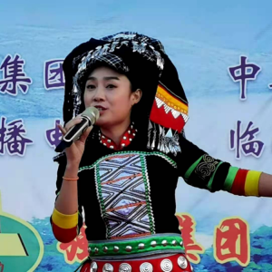 《紫砂俊杰》榮獲第八屆亞洲微電影藝術節金海棠獎
