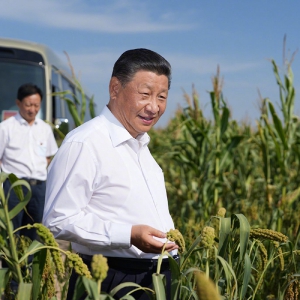 習近平在陜西榆林考察調研