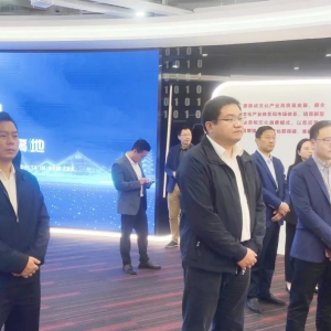 松江區委宣傳部部長張磊開展上海科技影都專題調研