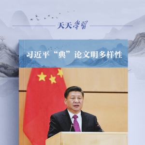 習近平“典”論文明多樣性｜和羹之美，在于合異