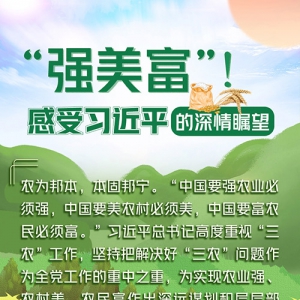 學習進行時丨“強美富”！感受習近平的深情矚望