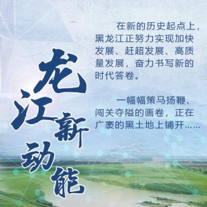 神州答卷丨龍江新動能——黑龍江布局四大新興產業推動振興發展