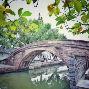 淀山湖畔的江南水鄉，藏著一座“古橋博物館”