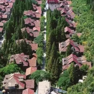 漫步上海永不拓寬的馬路，了解海派文化