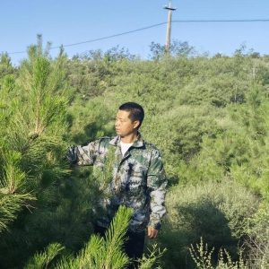 筑牢京津冀生態(tài)屏障 河北13萬(wàn)余名林長(zhǎng)守護(hù)綠水青山