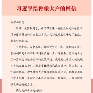 帶領鄉親們多種糧、種好糧