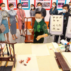 曼谷舉辦“中國影像節”展映暨中國文化體驗活動