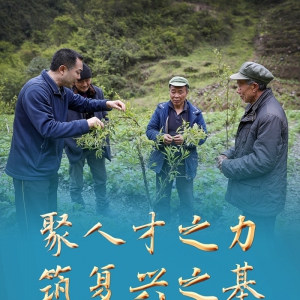 聚人才之力　筑復興之基——新時代人才事業發展成就綜述