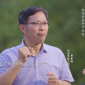 南京鄉間詩社朗誦登上央視頻直播