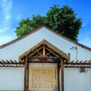 激活鄉土文化生命力（現場評論）