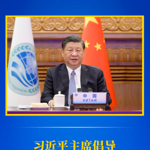 第一觀察丨習(xí)近平主席倡導(dǎo)“上海精神”的深意