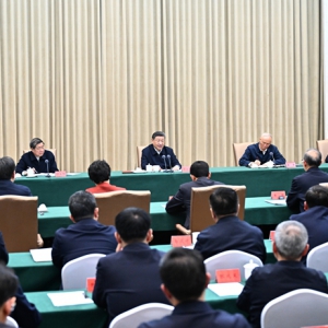 習近平聽取吉林省委和省政府工作匯報并發表重要講話