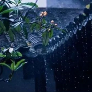 淮上聽雨